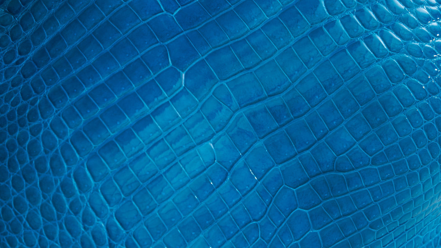 Luxury Leather Handbags - MORELET®