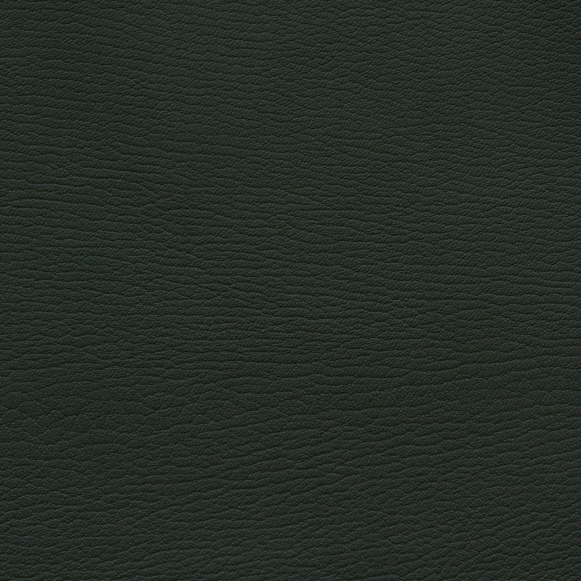 Leather Card Holder Douglas - MORELET®