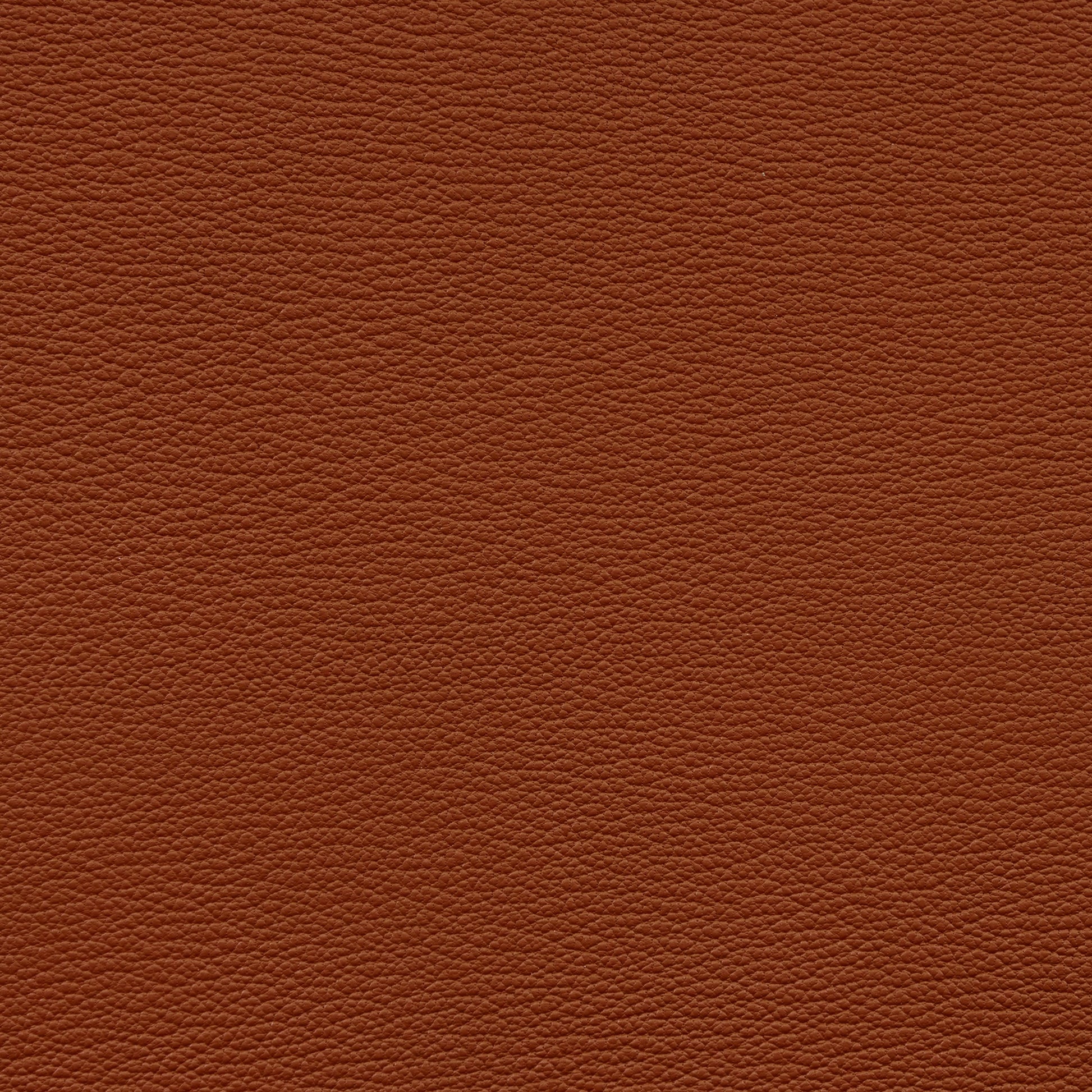 Leather Card Holder Orange - MORELET®