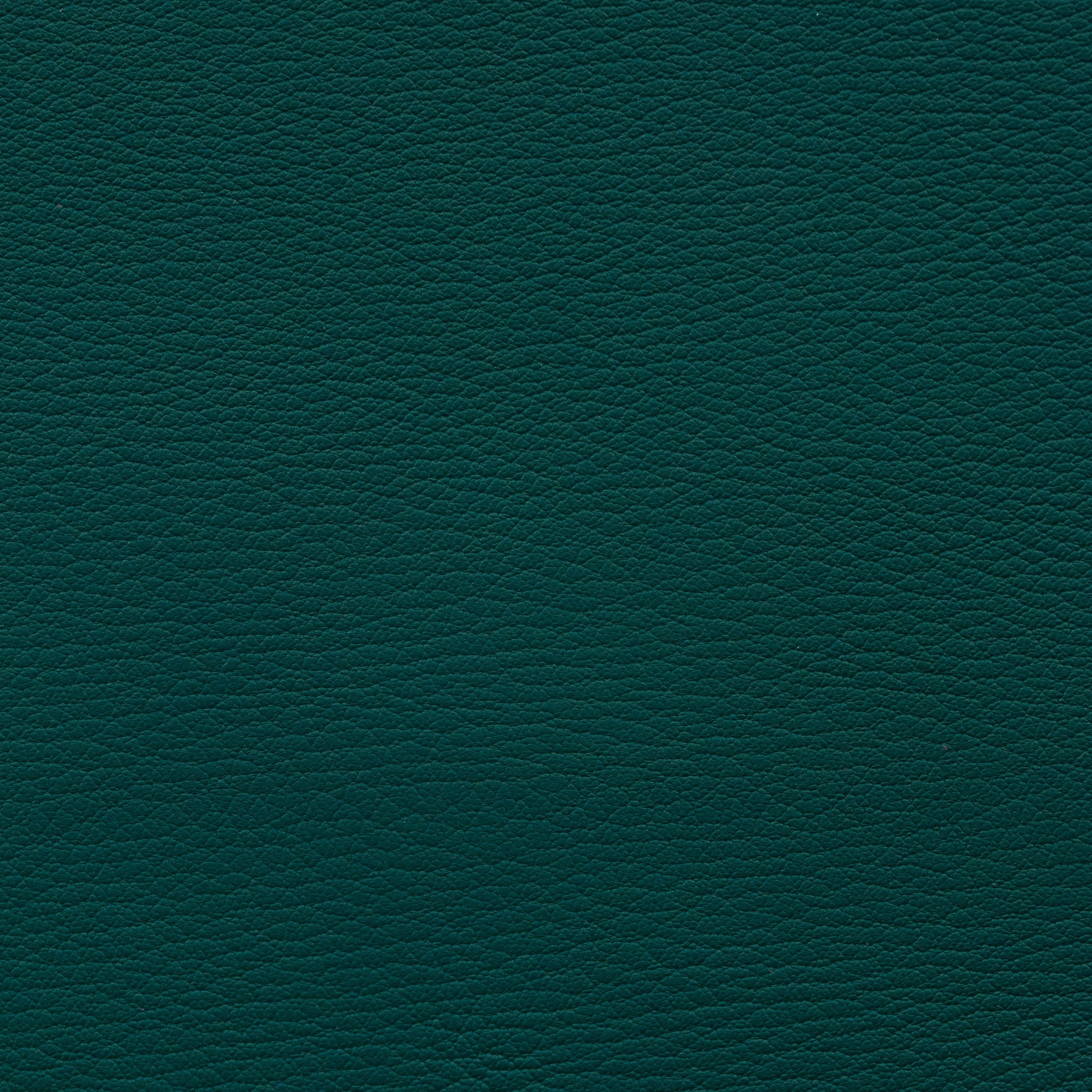 Leather Card Holder Pacifique - MORELET®