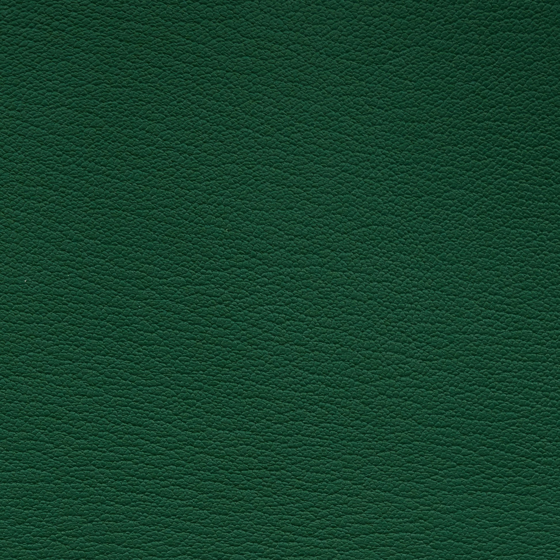 Leather Card Holder Vert - MORELET®