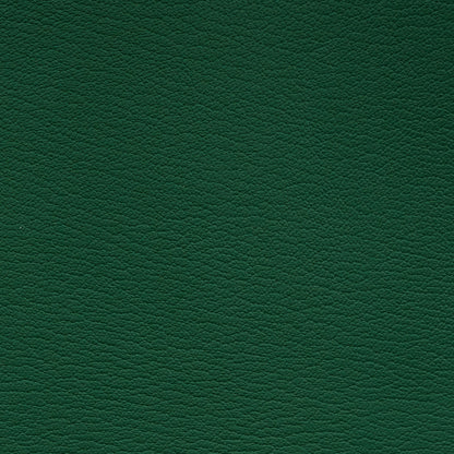 Leather Card Holder Vert - MORELET®