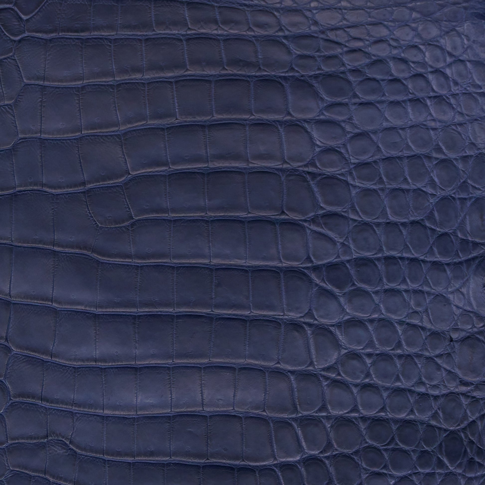 Crocodile Card Holder Admiral blue - MORELET®