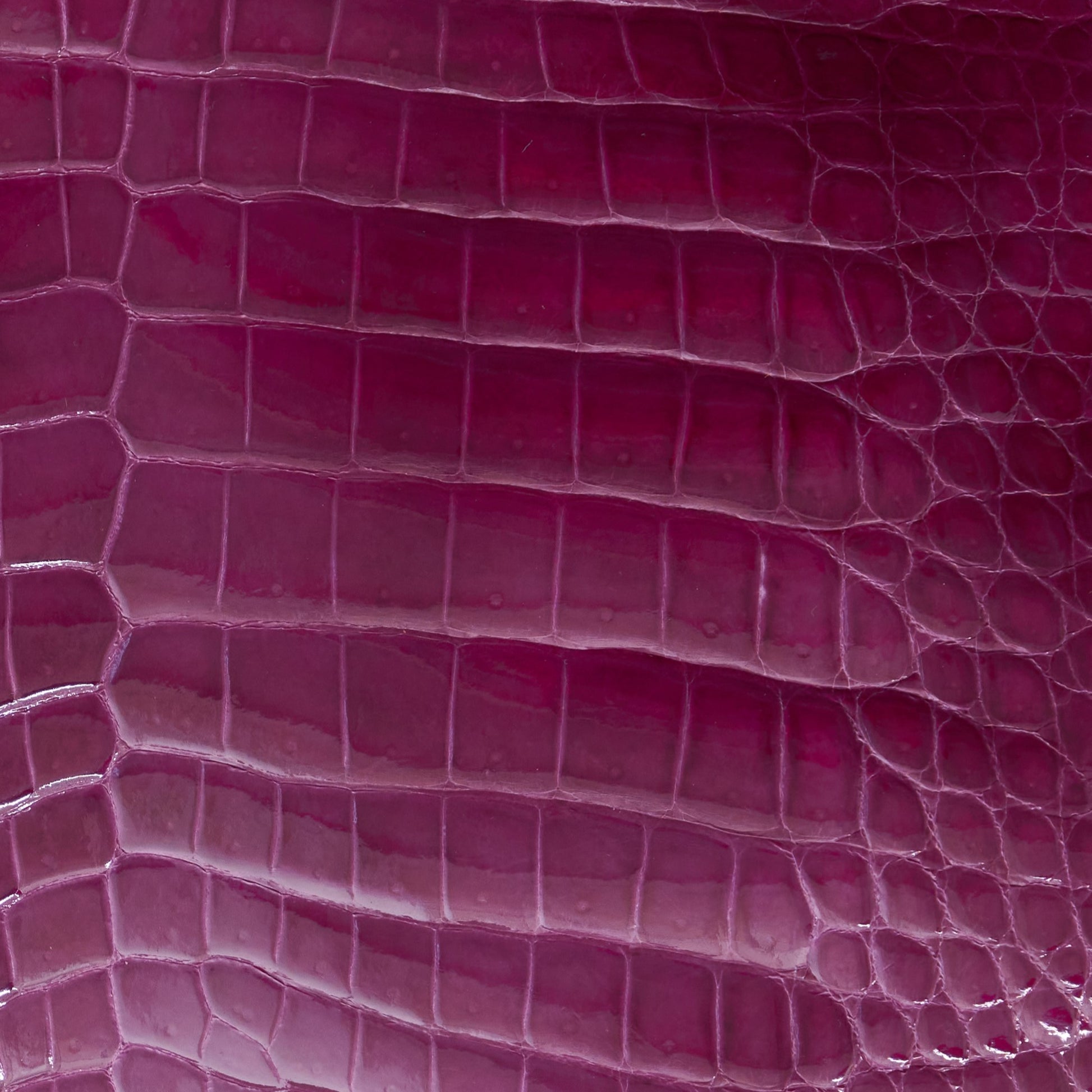 Crocodile Card Holder Kelly Magenta Glazed - MORELET®