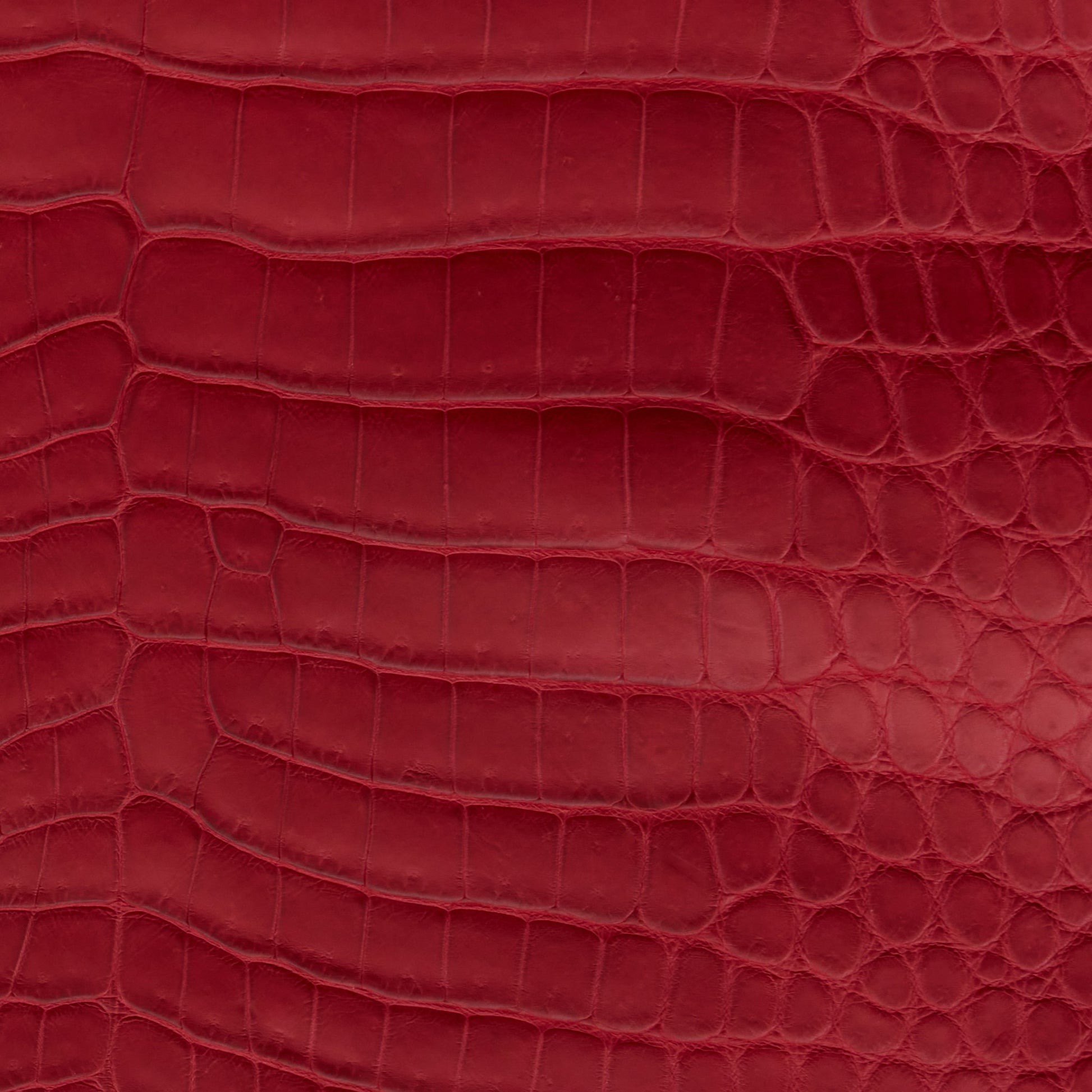 Crocodile Card Holder Apple Red - MORELET®