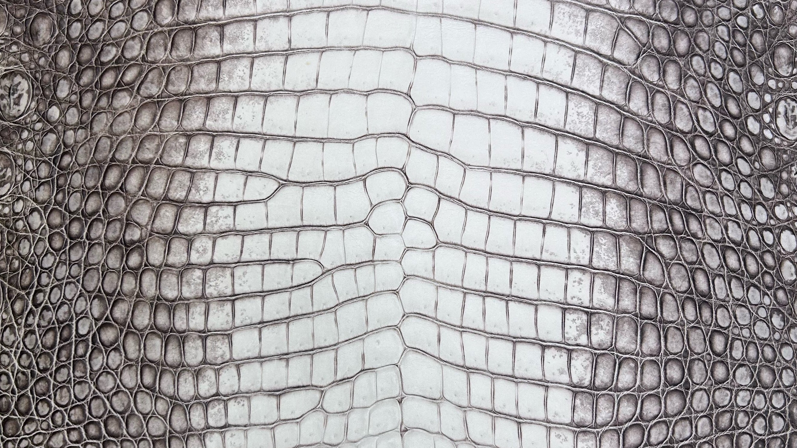 moreletii_crocodile_leather